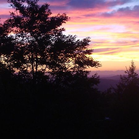 Forest View B&B Gavi Luaran gambar