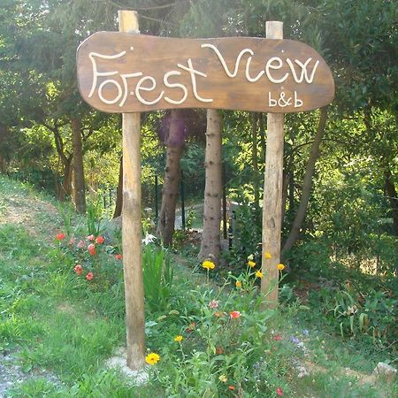 Forest View B&B Gavi Luaran gambar