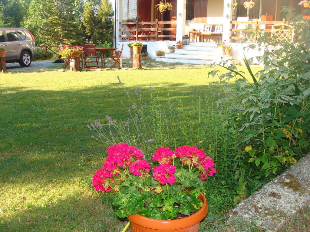 Forest View B&B Gavi Luaran gambar