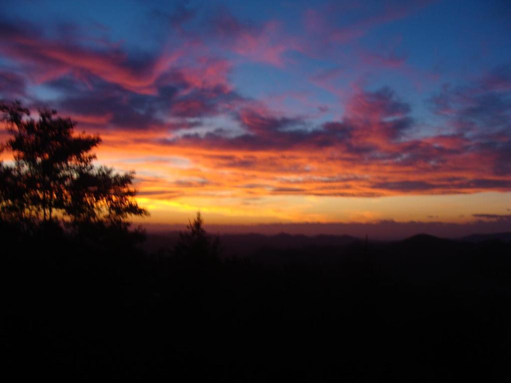 Forest View B&B Gavi Luaran gambar